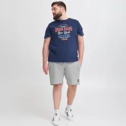 Blend Herre Shorts - Stone Mix