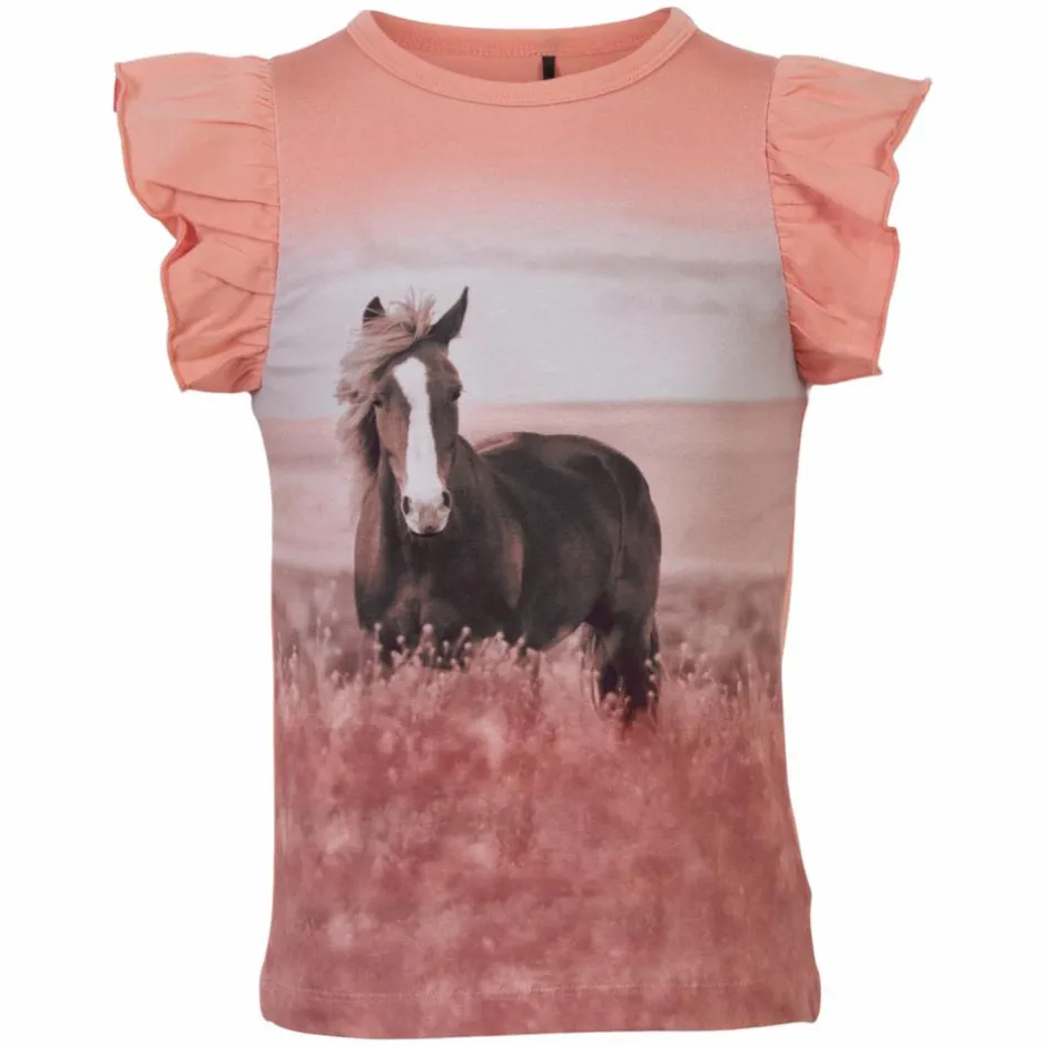 Sale Me Too Pige Top - Tawny Orange