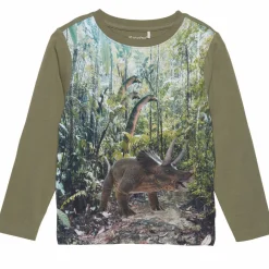 Outlet Minymo Dinosaur Drenge Langærmet t-shirt - Deep Lichen Green