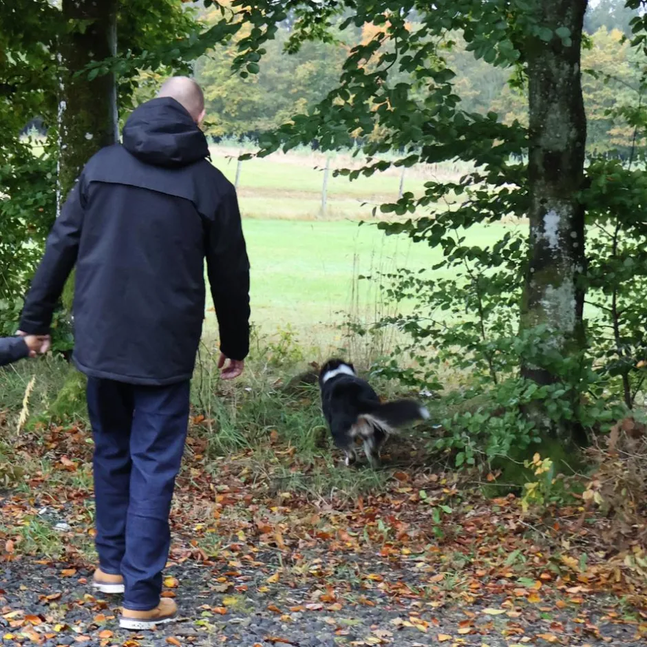 Outlet Nordic Project 18 Hestia Herre Vinterjakke m. for - METEORITE